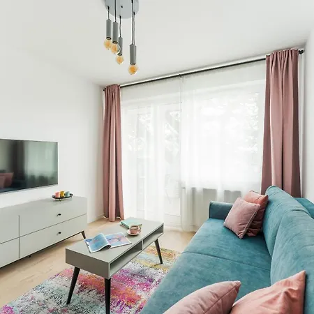 Sunset Vibes コウォブジェク